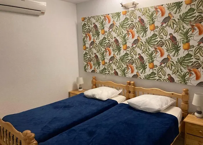Appartement Les Pieds Dand L'eau Banyuls-sur-Mer